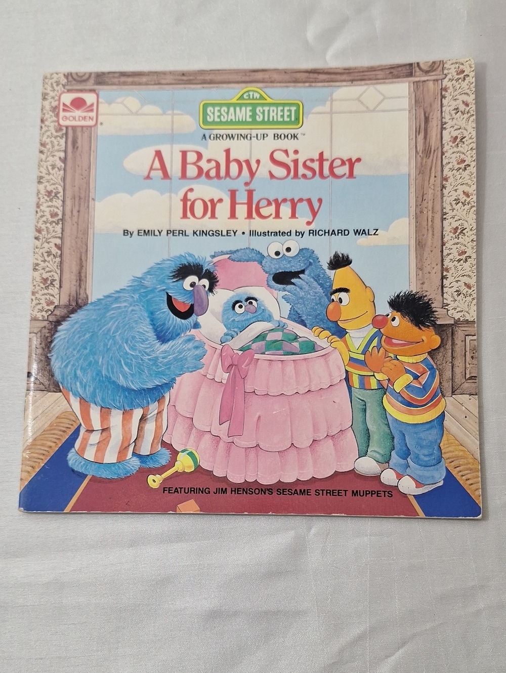 A Babysitter For Henry Book